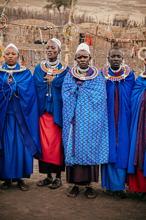 JUN 24, 2011 Serengeti, Tanzania - Group of African Masai or Maasai tribe woman in blue cloth wearing headpiece and stone beads ornaments. Ethnic group of Ngorongoro Consevation, Serengeti Savanna forest.のeditorial素材