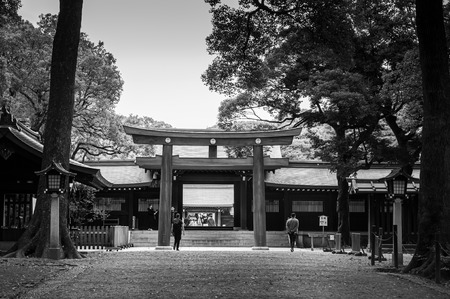 DEC 5, 2018 Tokyo, Japan - Meiji Jingu Shrine Large grand historic Wooden Torii gate under big trees with tourists - Most important shrine and city green space of Japan capital city. Black and white imageのeditorial素材