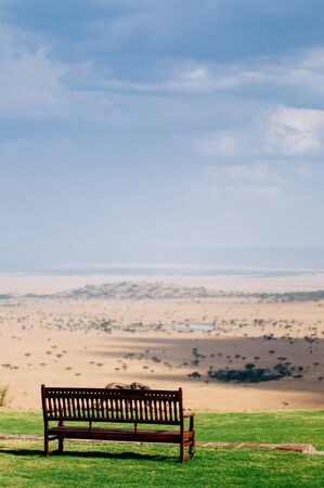 Wooden bench with Serengeti Grumeti Reserve wildlife park grass plain beautiful wide landscape under evening warm light with clouds skyの写真素材