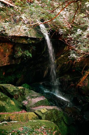 Beautiful white stream of waterfall with tropical tree and green moss covered stones. Pen Pob Mai...