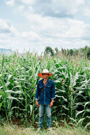 MAY 30, 2018 Sa Kaeo, Thailand - Asian male farmer wearing straw hat standing in green corn field under sun light in summer timeのeditorial素材