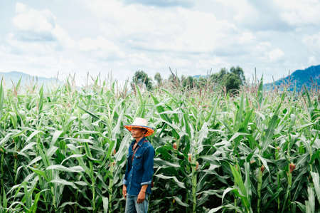 MAY 30, 2018 Sa Kaeo, Thailand - Asian male farmer wearing straw hat standing in green corn field...