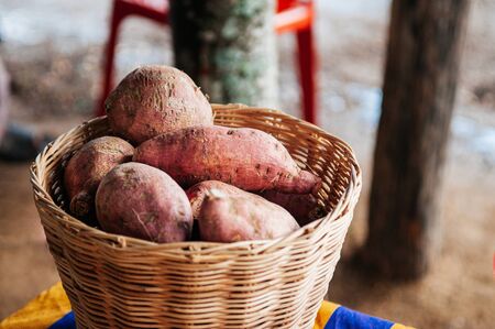 Fresh sweet potatoes or Japanese yam in wooden basket, asian organic farming product.の写真素材