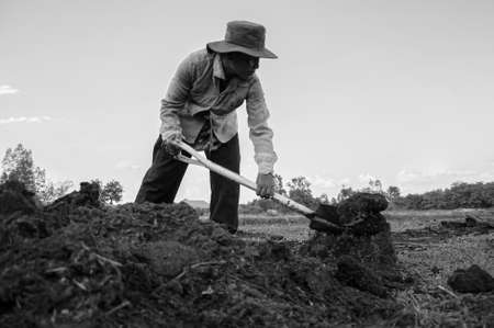 MAY 16, 2010 , Ubon Ratchathani, Thailand - Local Asian female farmer digging into soil ground in farmland for tree planting. black and whiteのeditorial素材