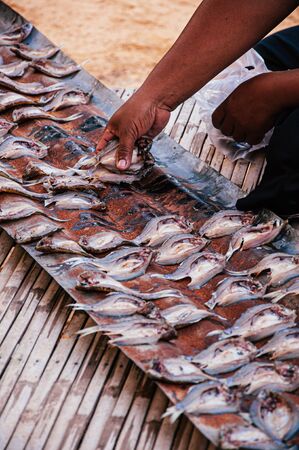 Unhealthy dried seafood making process in Asia. Sun dried fish on rusty metal zinc tray,...