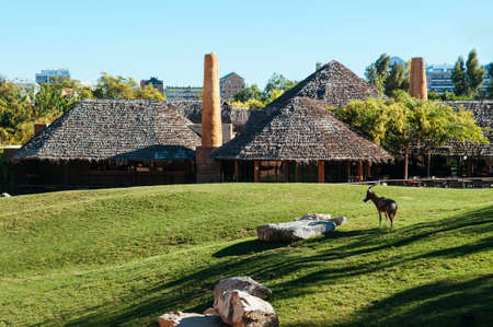 OCT 26, 2012 Valencia, Spain - Valencia Bioparc zoo cottage building and green lawn with african animal under bright sunのeditorial素材