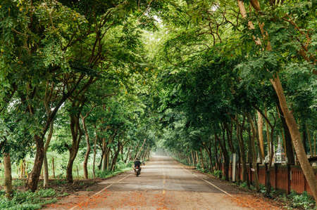 MAY 31, 2018 Sa Kaeo, Thailand - Lush fresh green tree tunnel and peaceful paved street with local people riding one Asain motorcycleのeditorial素材