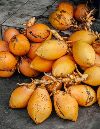 King Coconut or Thembili yellow coconut also know as red dwarf, native tropical fruit of Sri Lanka