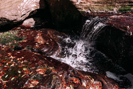 Beautiful white stream of waterfall with autumn leaves covered stones. Wang Kwang waterfall at Phu...