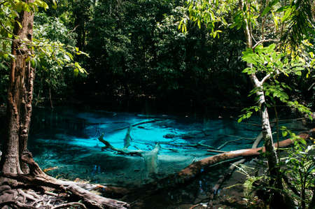 Blue pond in jungle. Krabi, Thailand. Or Tha Pom Klong Song Nam near Sra Morakot in tropical forest under sunlightの写真素材