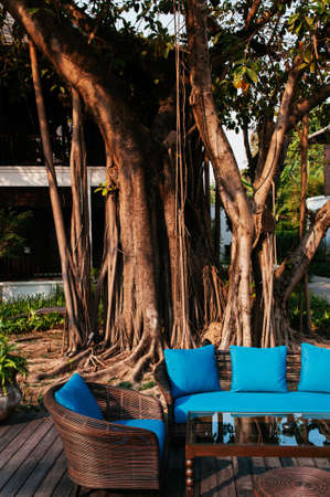 MAR 5, 2012 Chiang Mai, Thailand - Classic rattan chairs and table with blue pillows outdoor furniture under big banyan tree in eveningのeditorial素材