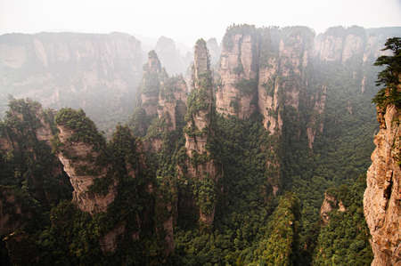 Exotic rock cliff and floating forest of Zhangjiajie mountain at Wulingyuan Scenic Area in Hunan - Chinaの写真素材