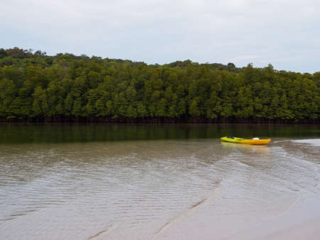 Kayak boat in mangrove forest canal on tropical island. Outdoor recreation kayaking sport. Koh Kood - Thailand.の写真素材