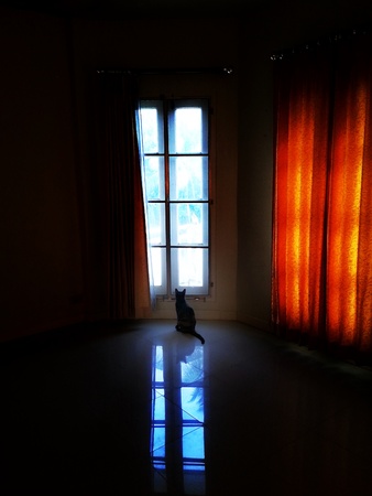 Waiting for   の写真素材