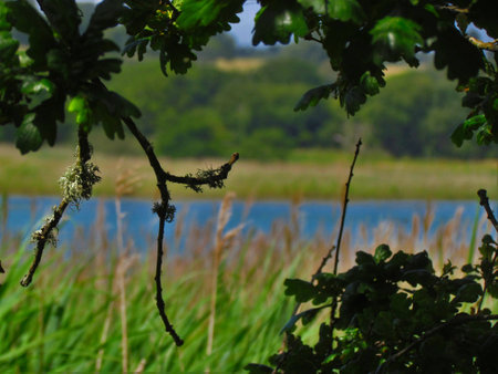 Landscape of Isle of Wight Causewayの写真素材