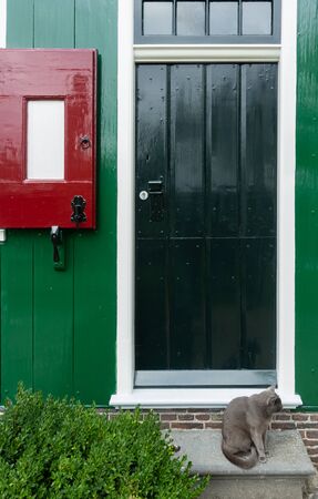 Cat sitting on the steps in front of a house with a green door. Captured in the streets of Amsterdamの写真素材