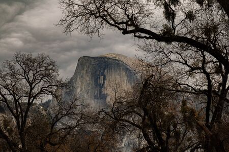 Famous half dome at yosemite shot using the trees to frame itの写真素材
