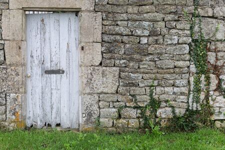 Old door and vines growing on wallの写真素材