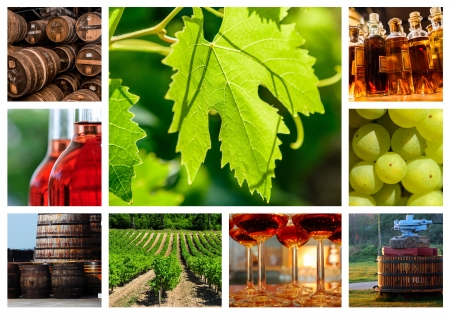 collage about vineyard and wine industryの写真素材