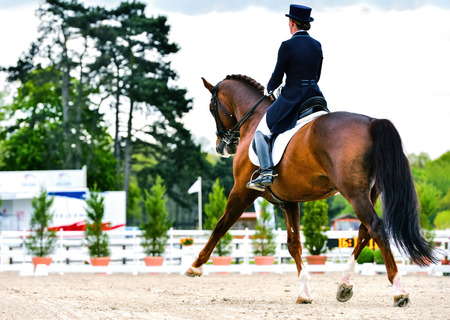 dressage horse and woman rider on dressage competitionの写真素材