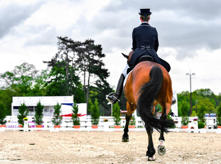 dressage horse and woman rider on dressage competitionの写真素材