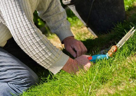 Senior cutting grass with shearsの写真素材