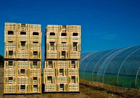 Four retail crates near greenhouseの写真素材