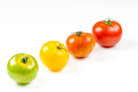 Closeup of varieties of colorful tomatosの写真素材