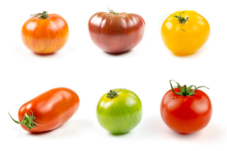 Closeup of varieties of colorful tomatosの写真素材