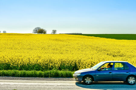 Blue sky driving along the road next to wide yellow field and light blue sky in the backgroundの写真素材