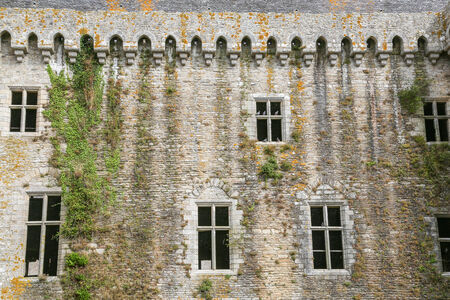 Abandoned old building with beautiful architecture, green plants growing along the wall and birds sitting on window framesの写真素材