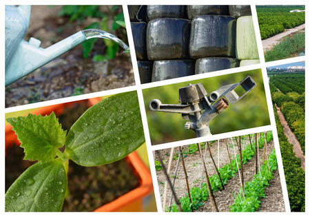 collage mix of  farming and gardening in countrysideの写真素材
