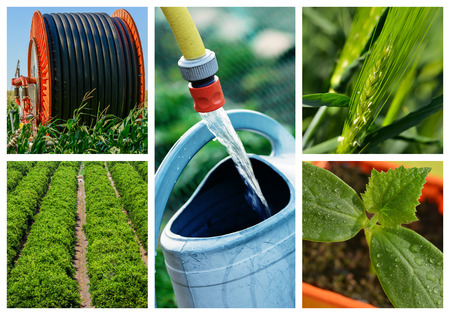collage mix of  farming and gardening in countrysideの写真素材