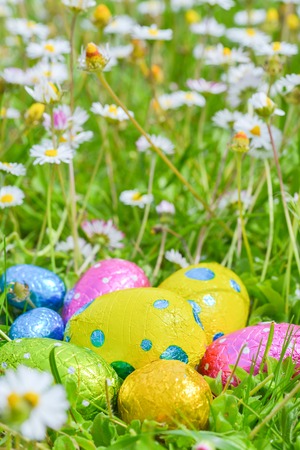colorful Easter egg Deposited on the prairie grassの写真素材