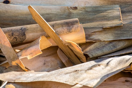 close up of processed wood waste and wood shavings