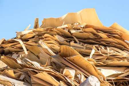 Wood chips for a biomass combustionの写真素材