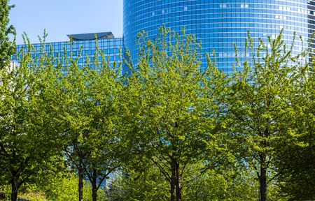 Tall grown trees in front of high office glass building with plenty partitioningの写真素材