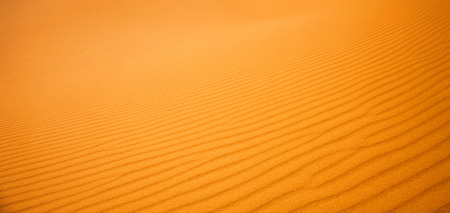 close-up on sands of the desert