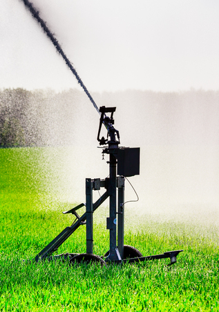 Water sprinkler installation in a field of maizeの写真素材