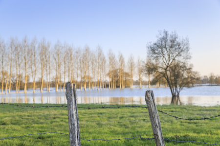 Flooded meadow during autumn and spring flood with fence aroundの写真素材