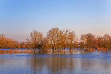 countryside landscape representing flooded trees under rising waters
