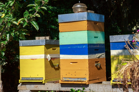 closeup on colored wooden beehives under sunny day