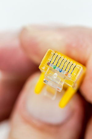 closeup on hand holding ethernet cable on a white background