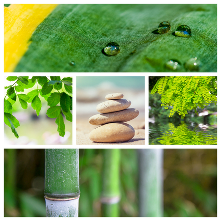 Spa green theme photo collage composed of different imagesの写真素材