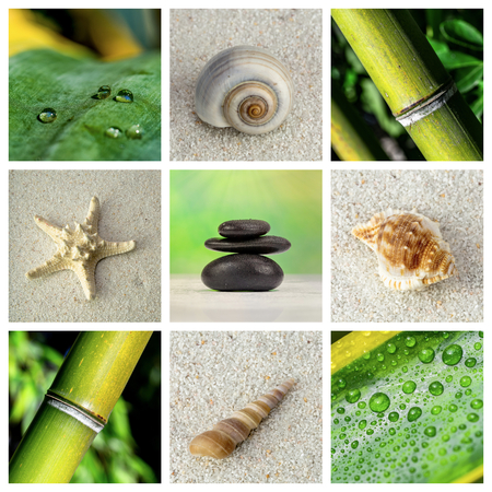 Spa green theme photo collage composed of different imagesの写真素材