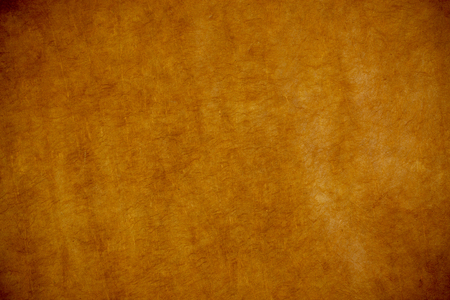 Grunge leather paper texture background with space for text or imageの写真素材