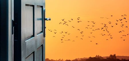 Opened door concept with a sunset over a countryside landscape with silhouettes of birdsの写真素材
