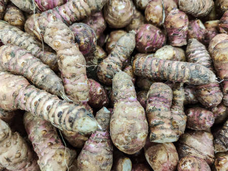 Selected focus on Group of Jerusalem artichokes or topinambour sold on a market
