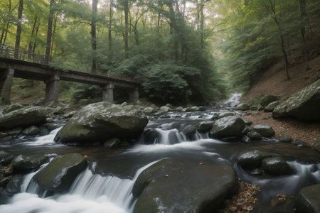 A quiet footbridge over a slow-moving streamの素材