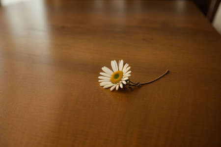 Close-up of a daisy chain on a wooden tableの素材